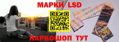 PSILOCYBIN Брянск
