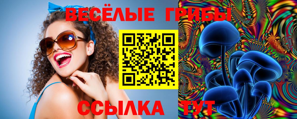 Галлюциногенные грибы MAGIC MUSHROOMS  Псилоцибиновые грибы GOLDEN TEACHER  Сыктывкар  Вход с VPN 
