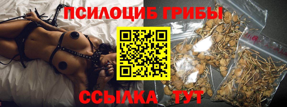Псилоцибиновые грибы Cubensis Сыктывкар